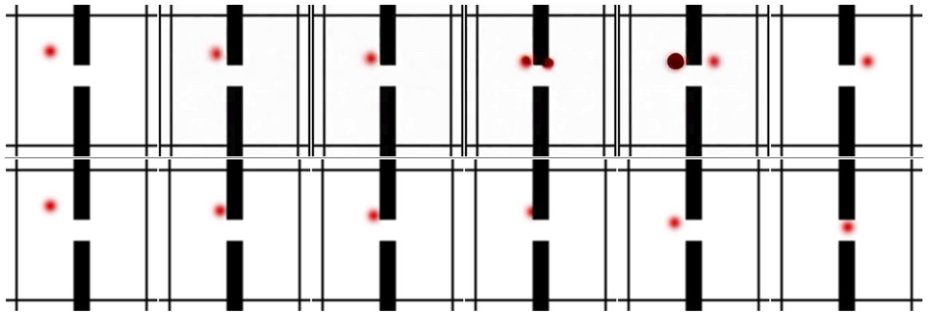 Spatial Bilocation (Failure)